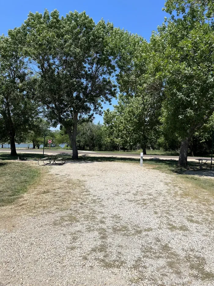 C 12