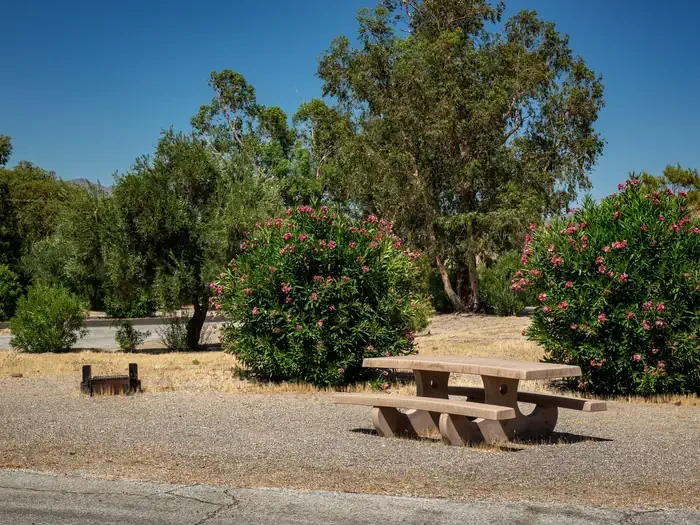 Site 65