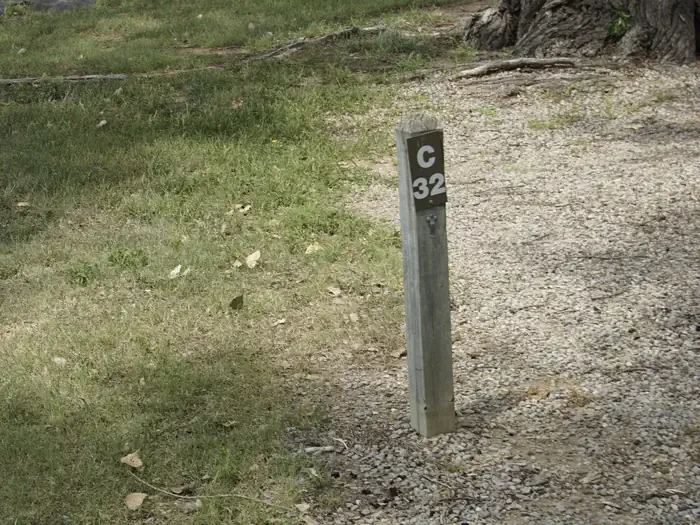 C32