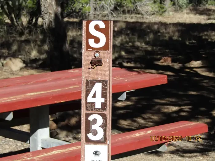 43