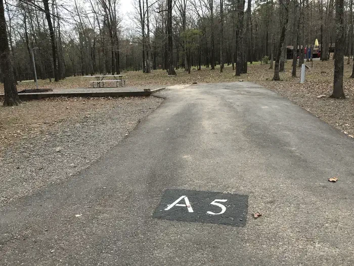 A5