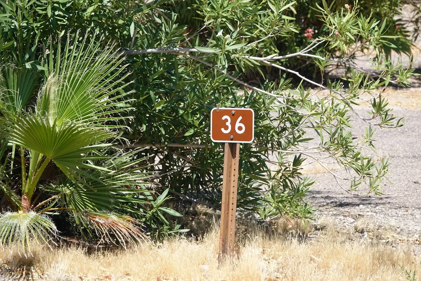 Site 36