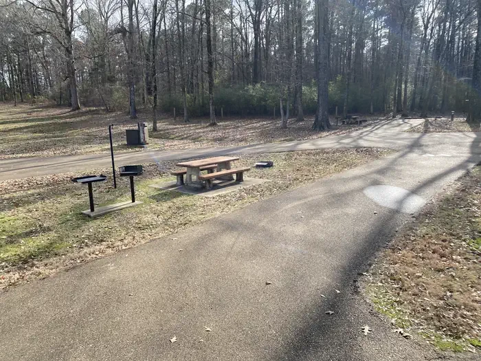 Ford's Well 10