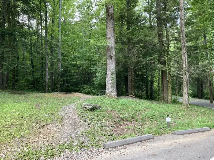 A64