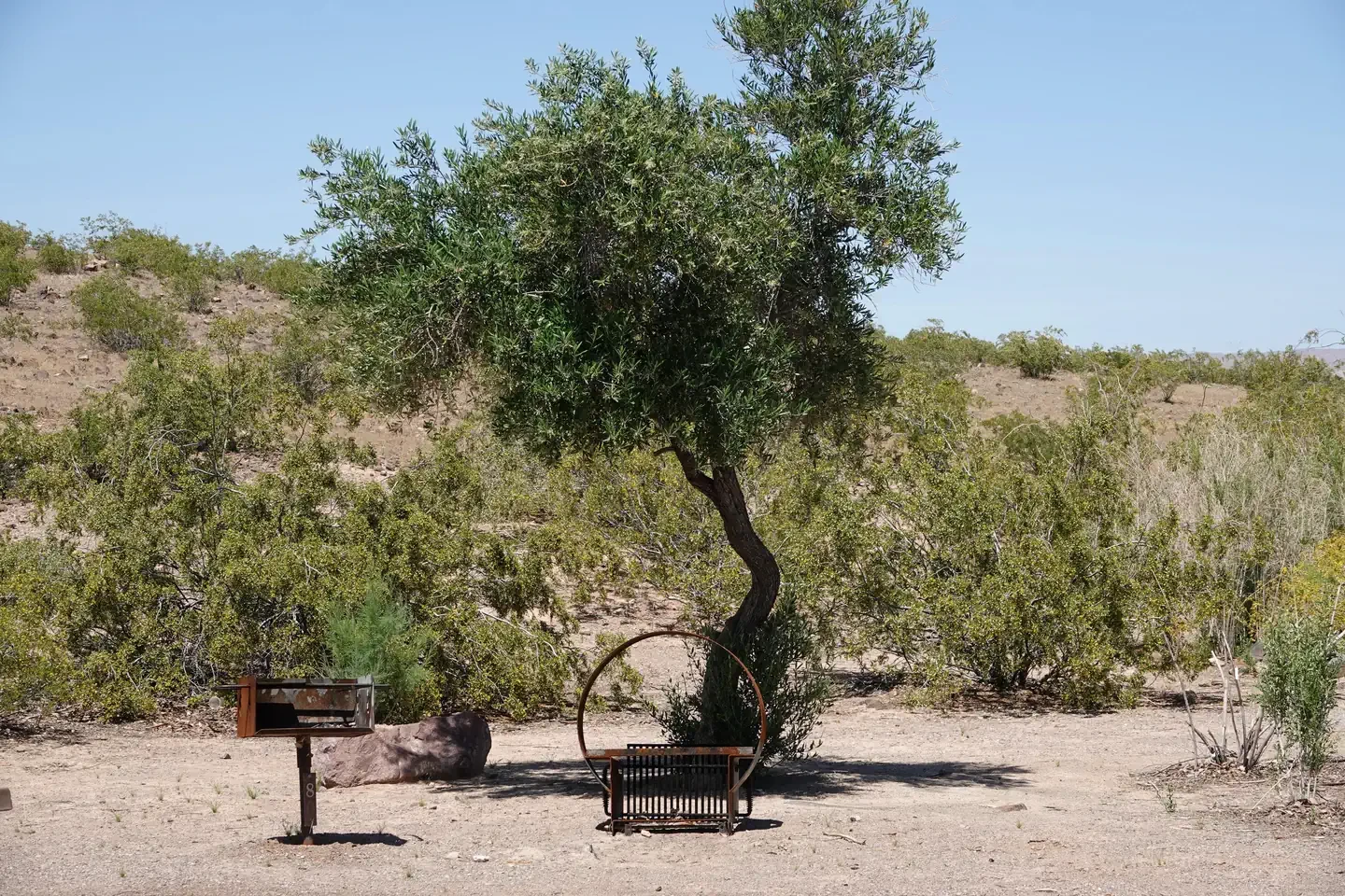 Site 80