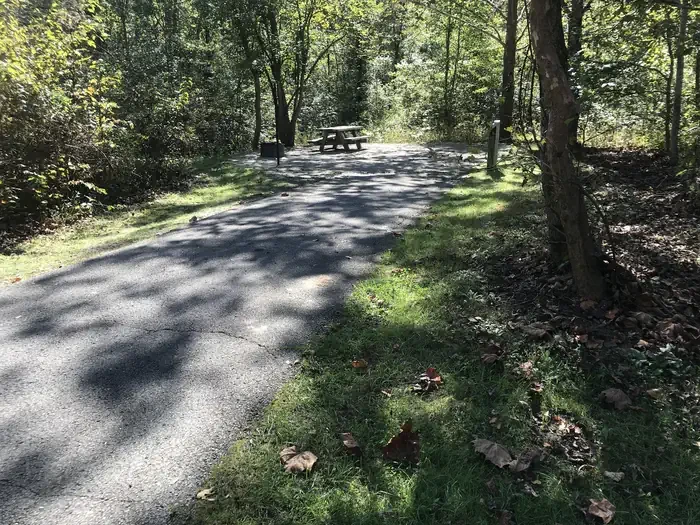 A036