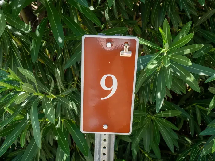 Site 9