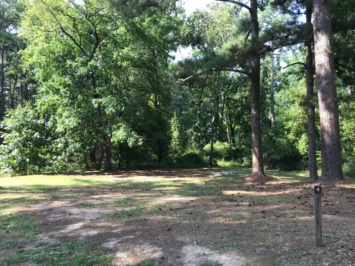 Site 04