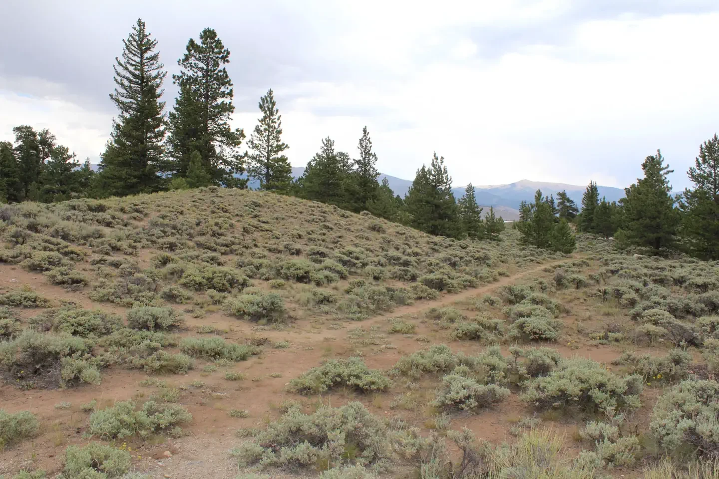 020