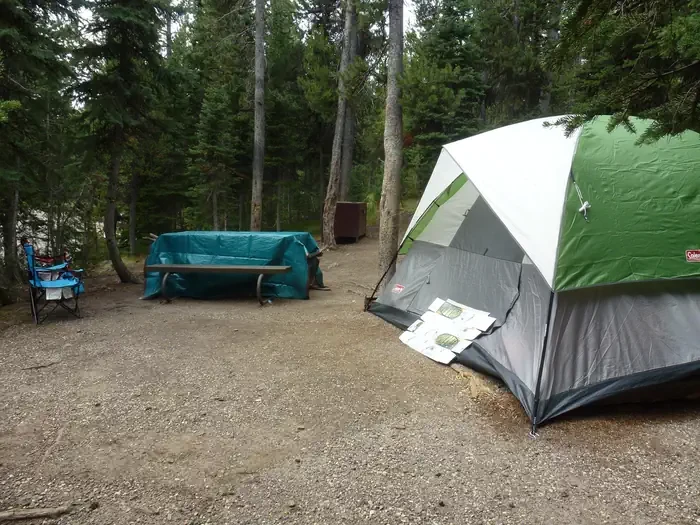 Lewis Lake site #6