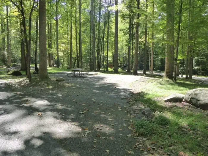 A24