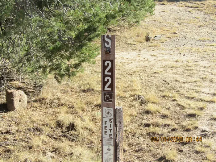 22