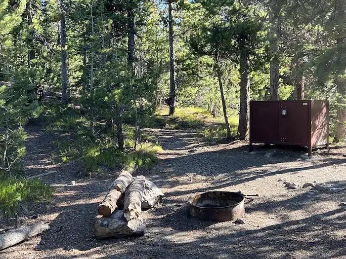 Lewis Lake site #83