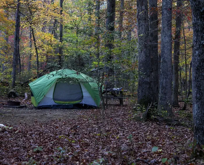 Turkey Run Ridge Group