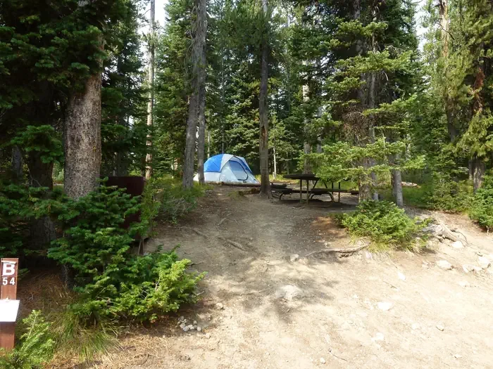 Lewis Lake site #54