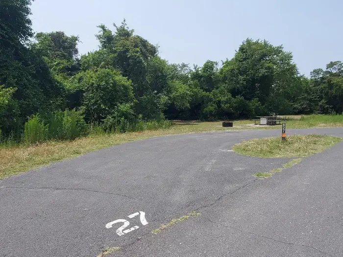 B27