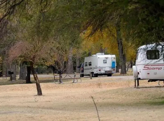 Cottonwood (Big Bend, TX)