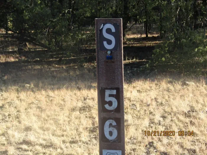 56