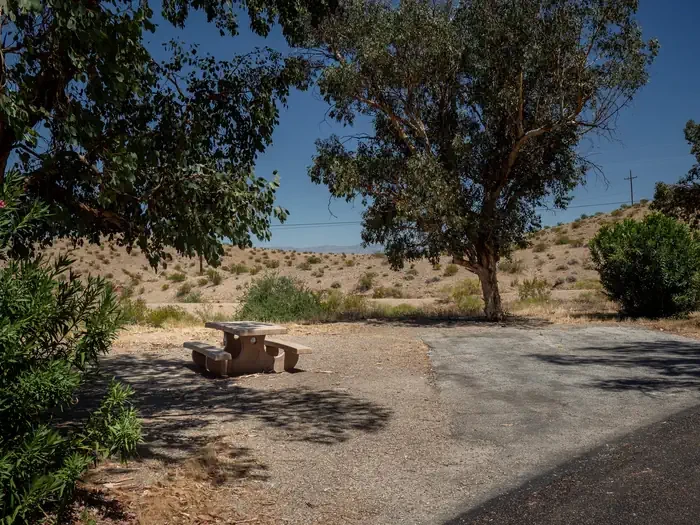 Site 37