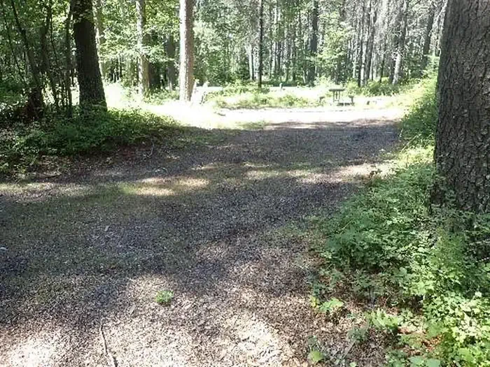 D194