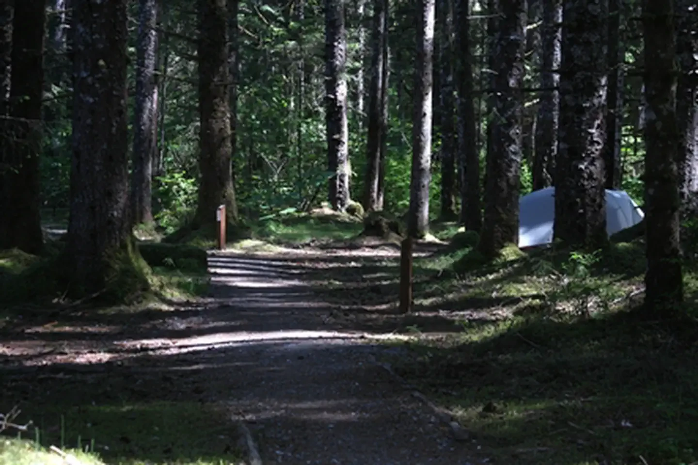 Bartlett Cove Campground