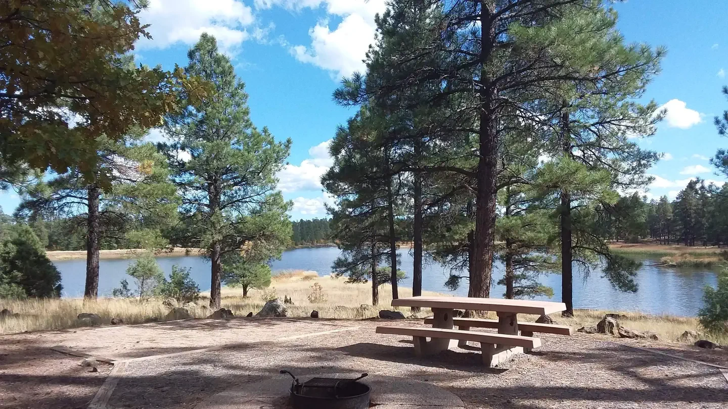 WHITE HORSE LAKE Campground