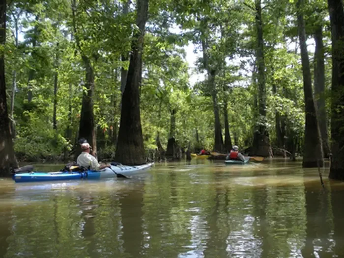 Big Thicket National Preserve