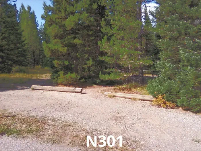 301