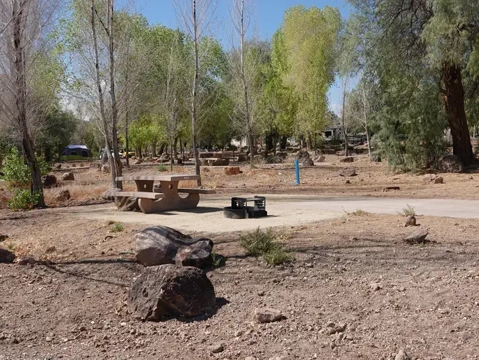 Site 90