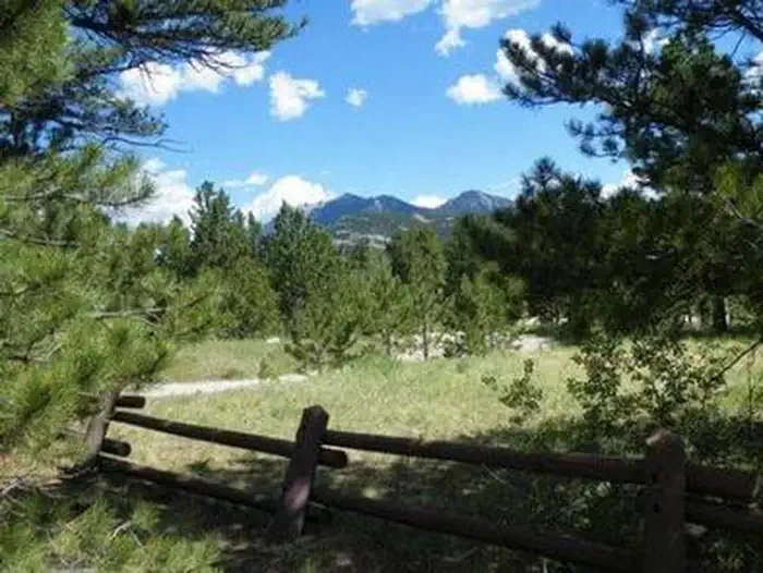 Olive Ridge