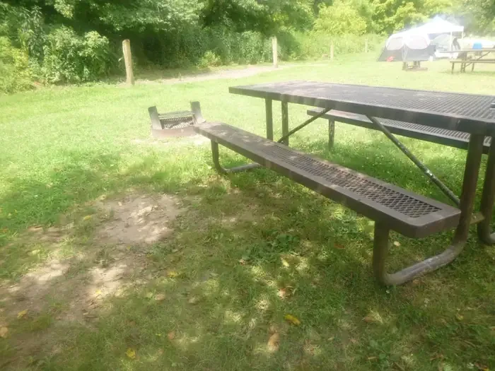 32 - Horse Site