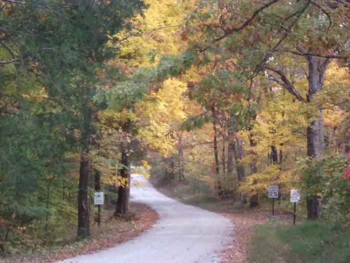 Maple Springs