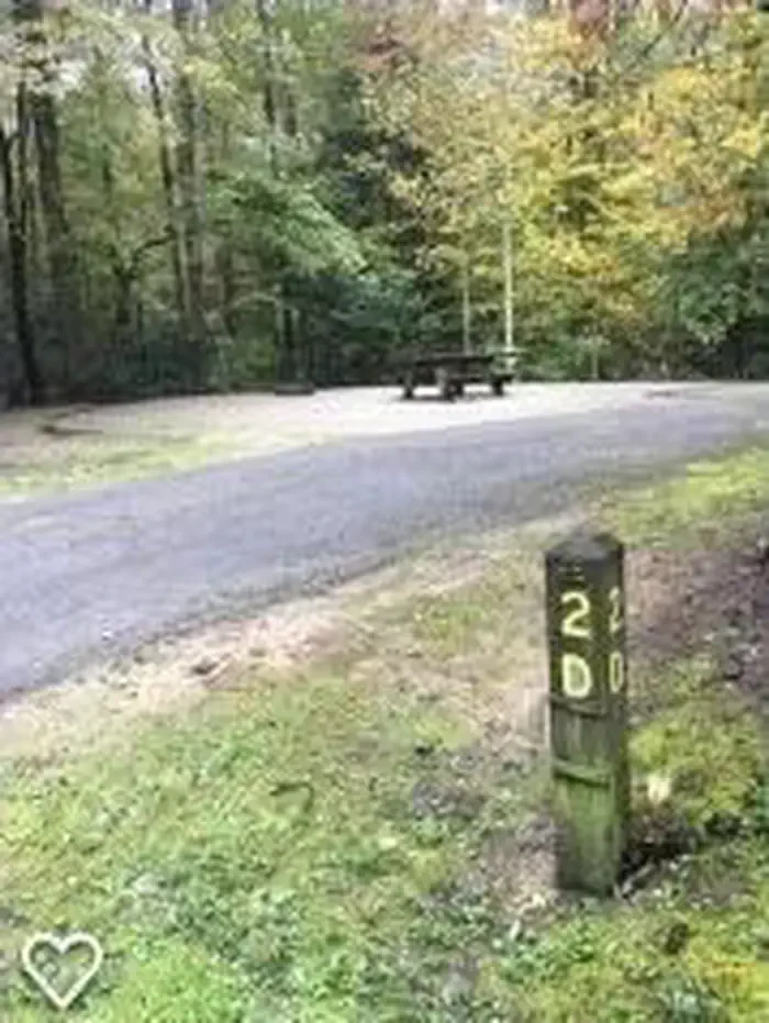 D02