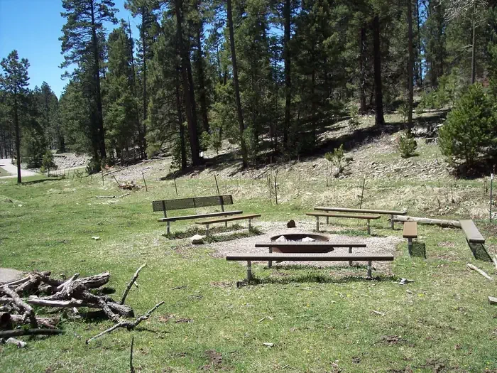 Lower Fir Group Area