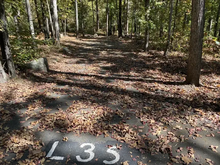 L35