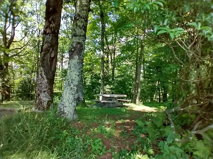 B41
