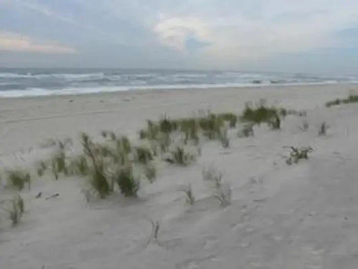 Fire Island National Seashore Permits