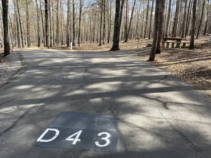 D43