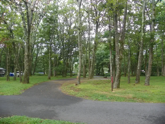 F201