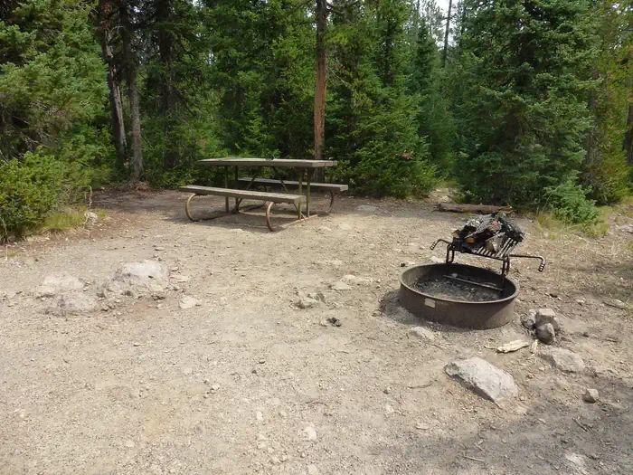 Lewis Lake site #71