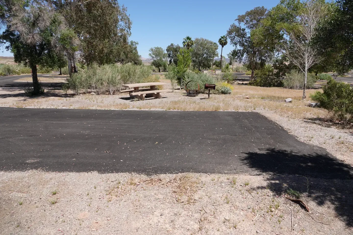 Site 81