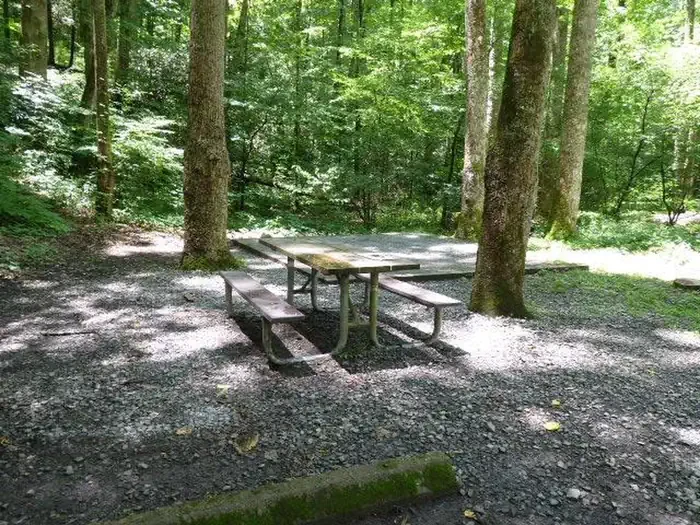 H11