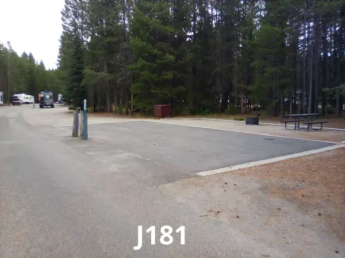 181