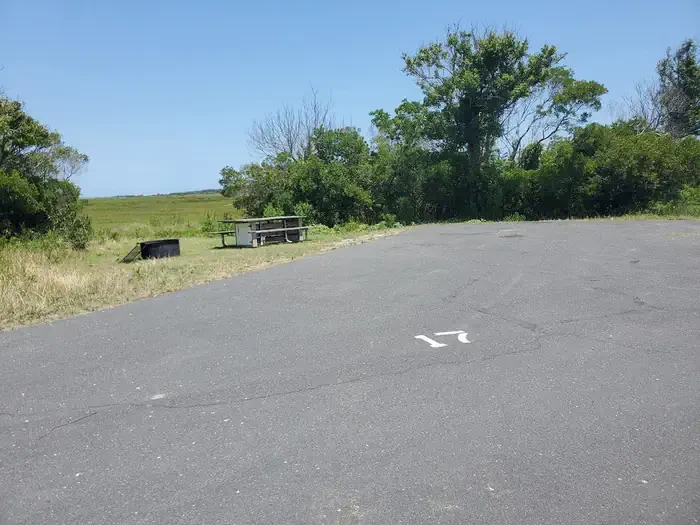 A17