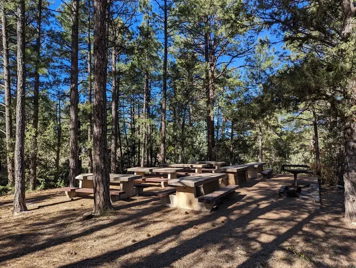 PINE FLAT PICNIC SITES - A and B