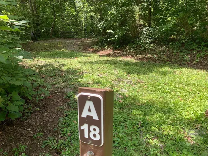 A-18