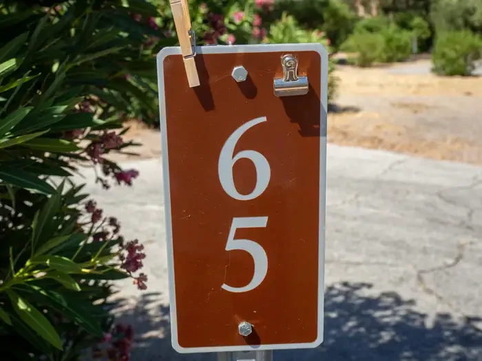 Site 65