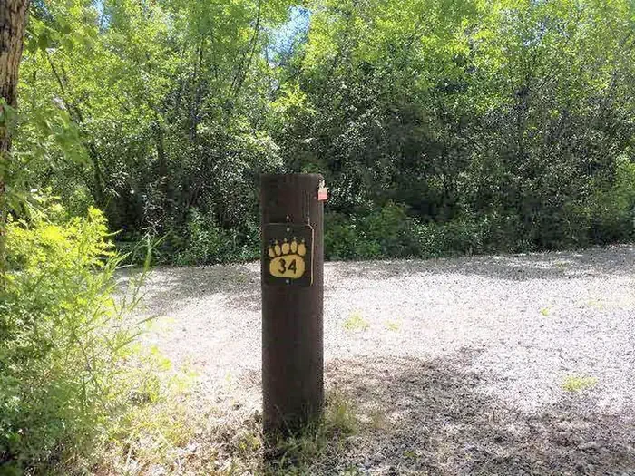 34