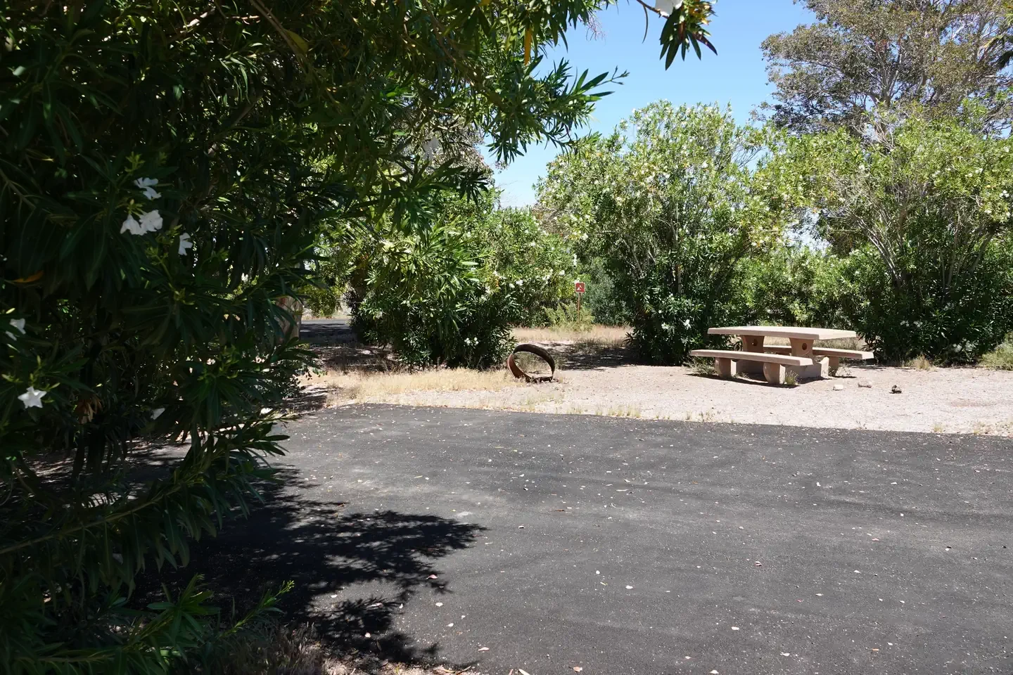 Site 29