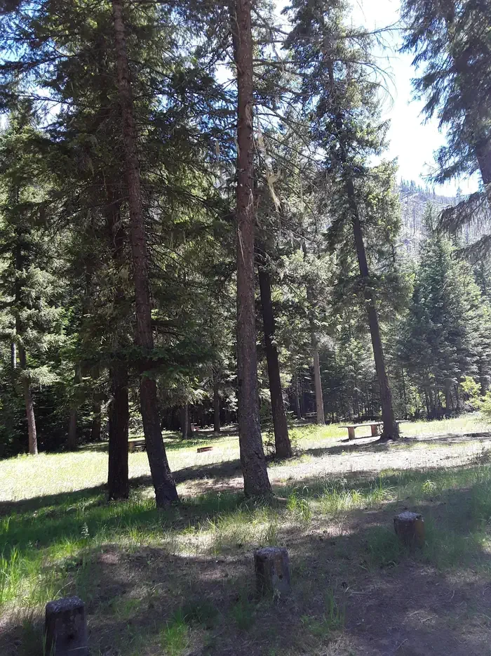Trout Creek Campground (MT)